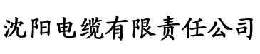 国产精品性爱视频电缆厂logo